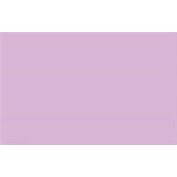 Versa Magic Pad Spring Pansy (2 in stock)