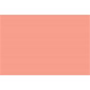 Versa Magic Re-Inker Pink Grapefruit (1 in stock)